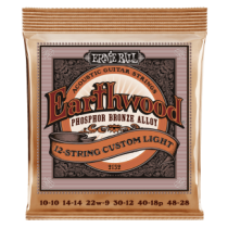 EARTHWOOD PHOSPHOR BRONZE 12 STRING CUSTOM LIGHT 10-48