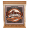 EARTHWOOD PHOSPHOR BRONZE 12 STRING CUSTOM LIGHT 10-48